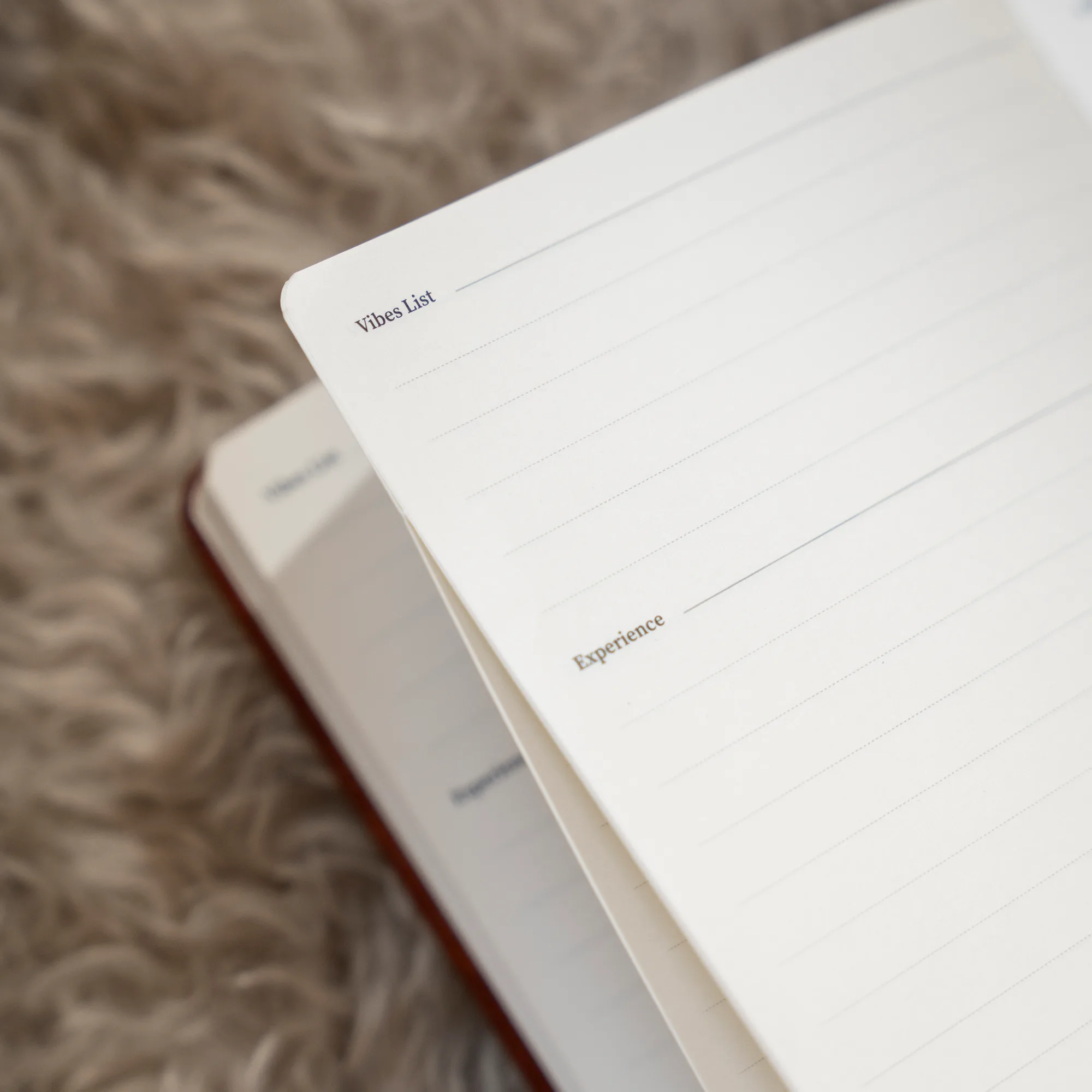Experience journal page